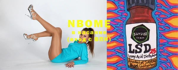 стафф Новозыбков