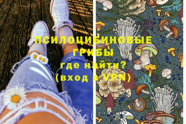 кокс Няндома