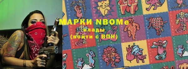 стафф Новозыбков