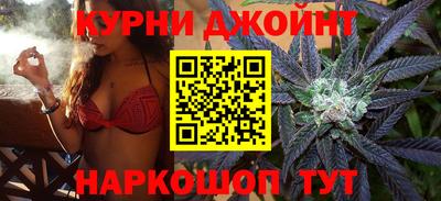 сатива Волжский