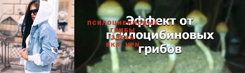 MEGA сайт  Кольчугино  Псилоцибиновые грибы Magic Shrooms 